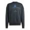 adidas Hamburger SV Präsentation Sweatshirt Schwarz - schwarz