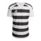 adidas Hooped 26 Trikot Grau - grau