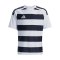 adidas Hooped 26 Trikot Kids Grau - grau