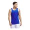 adidas Iconic Squad Trikot Blau - blau