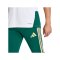 adidas FIGC Italien Tiro Trainingshose Grün - gruen