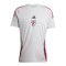 adidas Jude Bellingham Tiro Trikot Grau - grau
