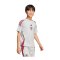 adidas Jude Bellingham Tiro Trikot Kids Grau - grau