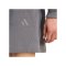 adidas Kit Logo Short Grau - grau