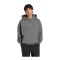 adidas Kit Small Logo Hoody Grau - grau
