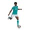 adidas FC Liverpool Authentic Trikot 3rd 2025/2026 Grün - gruen