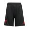 adidas FC Liverpool Competition Training Short Kids Schwarz - schwarz