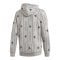 adidas Must Haves Graphic Hoody Grau - grau