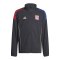 adidas Olympique Lyon Präsentationsjacke Kids Grau - grau