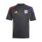 adidas Olympique Lyon Trainingsshirt Kids Grau - grau