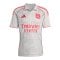 adidas Olympique Lyon Trikot 3rd 2025/2026 Grau - grau