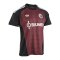 adidas Originals FC Schalke 04 Torwarttrikot 2026/2027 Schwarz - schwarz
