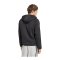 adidas Originals Spacer Teamgeist 26 Cutline Kapuzenjacke Schwarz - schwarz