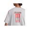 adidas Originals Adibreak T-Shirt Grau - grau