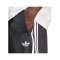 adidas Originals Adicolor Jacquard Short Schwarz - schwarz