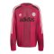 adidas Originals Blokecore Longsleeve Rot - rot