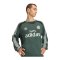 adidas Originals Blokecore Sweatshirt Grün - gruen