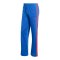 adidas Originals Firebird Hose Blau - blau