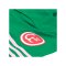 adidas Originals Fortuna Düsseldorf Torwartshort 2026/2027 Grün - gruen