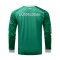 adidas Originals Fortuna Düsseldorf Torwarttrikot 2026/2027 Grün - gruen