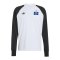 adidas Originals Hamburger SV Longsleeve Schwarz - schwarz