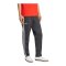 adidas Originals 1. FC Union Berlin Track Hose Grau - grau