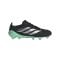 adidas Predator Elite FG Final Rush Schwarz - schwarz