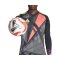 adidas Predator GL Pro Road to Glory Torwarthandschuhe Weiss - weiss