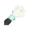adidas Predator Match Fingersave Torwarthandschuhe Schwarz - schwarz