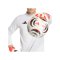 adidas Predator Match Torwarthandschuhe Weiß - weiss