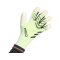 adidas Predator Pro Hybrid PC Torwarthandschuhe Radiant Blaze Grün - gruen