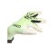 adidas Predator Pro Hybrid PC Torwarthandschuhe Radiant Blaze Grün - gruen