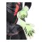 adidas Predator Pro Hybrid PC Torwarthandschuhe Radiant Blaze Grün - gruen