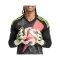 adidas Predator Pro Hybrid PC Torwarthandschuhe Radiant Blaze Grün - gruen
