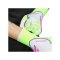 adidas Predator Pro Hybrid Celestial Victory Torwarthandschuhe Weiss - weiss