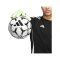adidas Predator Pro Hybrid Celestial Victory Torwarthandschuhe Weiss - weiss