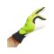adidas Predator Pro Promo TW-Handschuhe Energy Citrus Gelb - gelb