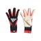 adidas Predator Pro Torwarthandschuhe Schwarz - schwarz
