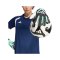 adidas Predator Pro Torwarthandschuhe Schwarz - schwarz