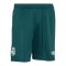 adidas Real Madrid Short Away 2026/2027 Grün - gruen