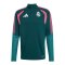 adidas Real Madrid Tiro26 Competition Sweatshirt Grün - gruen