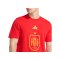 adidas Spanien DNA Graphic T-Shirt Rot - rot