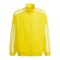 adidas Squadra 21 Präsentationsjacke Kids Gelb - gelb