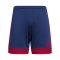 adidas Squadra 25 Short Blau - blau