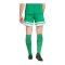 adidas Squadra 25 Short Damen Grün - gruen