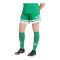 adidas Squadra 25 Short Damen Grün - gruen