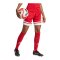 adidas Squadra 25 Short Damen Rot - rot