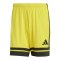 adidas Squadra 25 Short Gelb - gelb
