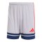 adidas Squadra 25 Short Grau - grau