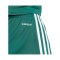 adidas Squadra 25 Short Grün - gruen